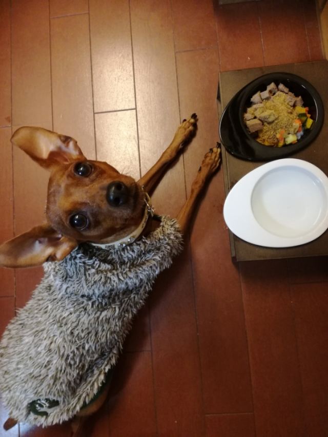 口コミ：愛犬のための総合栄養食Nana(ナナ・パウダータイプ)の画像（8枚目）