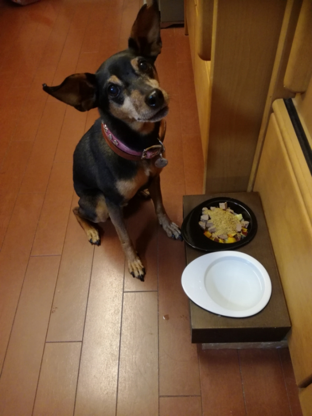 口コミ：愛犬のための総合栄養食Nana(ナナ・パウダータイプ)の画像（9枚目）