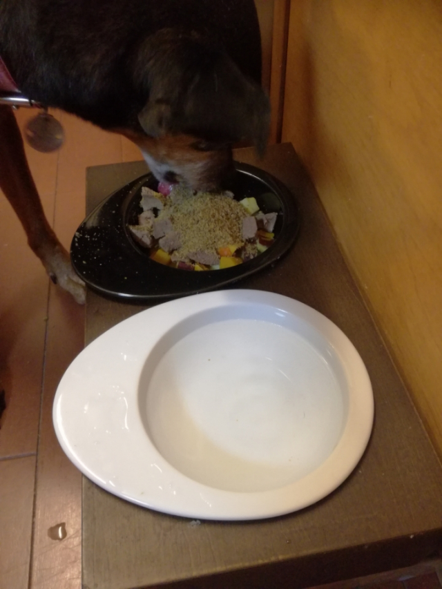口コミ：愛犬のための総合栄養食Nana(ナナ・パウダータイプ)の画像（10枚目）