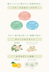 口コミ：日本酒酵母×乳酸菌配合のプモアクリームでモチモチ肌への画像（8枚目）