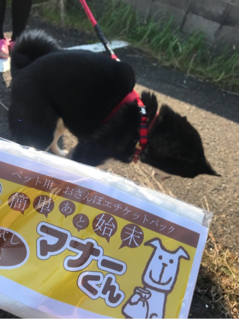 口コミ：愛犬のお散歩のお供～簡単あと始末マナーくん～の画像（3枚目）