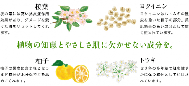 口コミ：日本酒酵母×乳酸菌「プモアクリーム」の画像（9枚目）