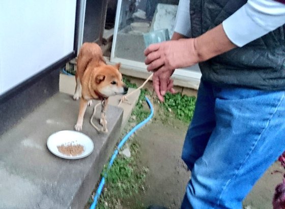 口コミ：人が食べられる食材🐶「無添加ドッグフード安心」その２の画像（4枚目）