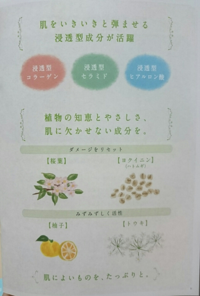 口コミ：日本酒酵母×乳酸菌 プモアクリームの画像（5枚目）