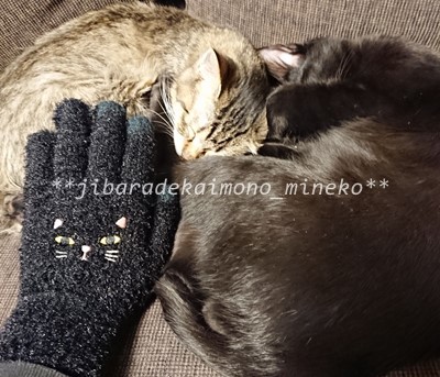 口コミ：ネコ (ΦωΦ) スマホ用手袋 (ΦωΦ) 猫の画像（3枚目）