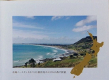 口コミ：【みつばちの詩工房】ニュージーランドのマヌカハニーの画像（15枚目）