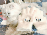 口コミ：スマホも使える超！可愛い猫ちゃん手袋★レポ | 節約主婦！ぷくぷうのお試し・節約・懸賞レポ - 楽天ブログの画像（5枚目）