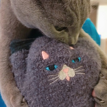 口コミ：愛猫もお気に入り♡ふわふわアニマル刺繍タッチグローブの画像（6枚目）