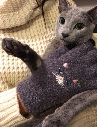 口コミ：愛猫もお気に入り♡ふわふわアニマル刺繍タッチグローブの画像（3枚目）