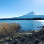 ここは、河口湖畔の大石公園からの富士山ですが、おでかけした場所でぐーぴたっと一緒に撮りたいです。#ぐーぴたっが食べたい #monipla #ナリスアップコスメティックスファンサイト参加中のInstagram画像