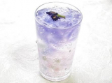 「青の花茶」の画像