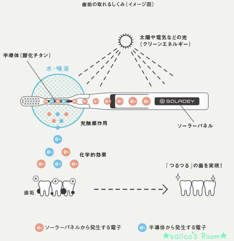 口コミ：気になる歯事情part2の画像（6枚目）