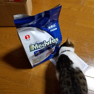 口コミ：メディファス　キャットフードモニターの画像（3枚目）