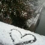 まさかのこんな積雪の日も子供たちお散歩。かなーり寒くてツラくても、今しかないこの時間を大事にしたい。#愛の木に願いを #メリーチョコレート #monipla #メリーチョコレートファンサイト参…のInstagram画像