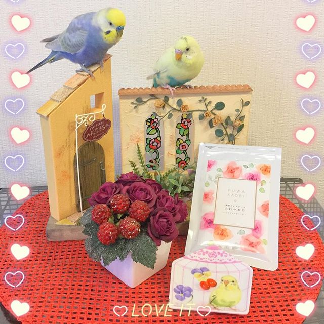 口コミ投稿：.ルル&メル:フレグランスサプリ「ふわかおり」で、ママがいい香りだぞ！🐥🌹😉🐥RURU&MER…