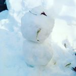 パパが娘の為に作った初めての雪だるま(｡•ᴗ•｡)♡来年も家族仲良く雪遊びが出来ますように🎶#愛の木に願いを #メリーチョコレート #monipla #メリーチョコレートファンサイト参加中のInstagram画像