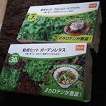 栽培セットの「ブロッコリースプラウト」と「ガーデンレタス」です。手軽に新鮮な野菜が食べられるのがうれしいです(^-^)v発芽に適した気温になったらすぐに栽培始めます。すごく楽しみです🙆…のInstagram画像
