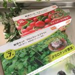 ＤＣＭブランドの栽培セット〜プランター・土・種や肥料まですべてセットされているから自宅で簡単に野菜作り〜もちろんお料理にも(^_^)#dcm栽培セット#くらしメイド #monipla#DC…のInstagram画像