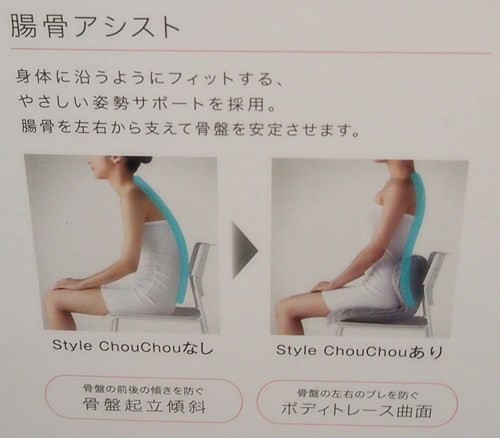 口コミ：
  癒されながらやさしく姿勢をサポートできる #StyleChouChou #スタイルシュシュ
の画像（3枚目）