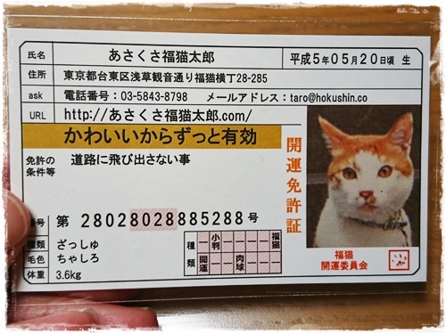 口コミ：あさくさ福猫太郎さんの開運豆お守りをいただきましたの画像（3枚目）