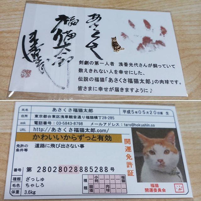 口コミ投稿：あさくさ福猫太郎の開運豆お守りを頂きました猫の日にお届けされるなんて、良いタイ…