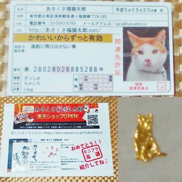 口コミ投稿：昨日の #猫の日 に、 あさくさ福猫太郎さんから２４K純金メッキの #福猫 の #豆お守…