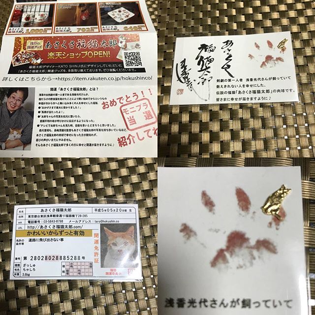 口コミ投稿：「あさくさ福猫太郎」モニターで当選しました^ - ^❤️浅香光代さんが傷だらけの野良猫…
