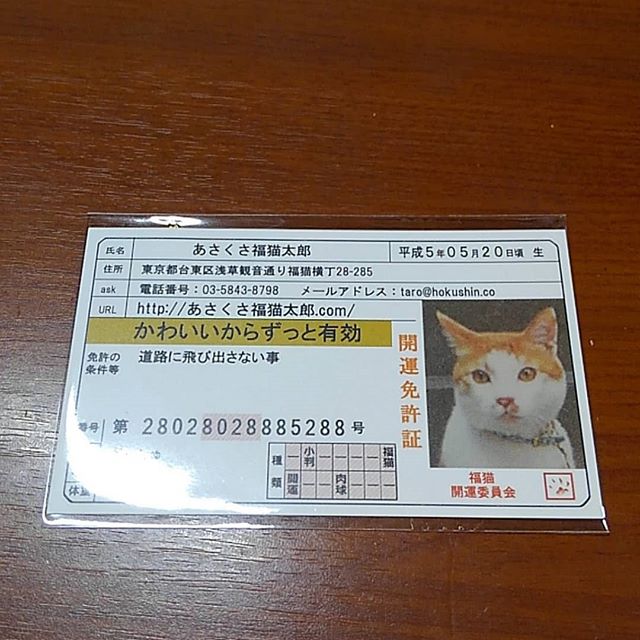 口コミ投稿：あさくさ福猫太郎開運豆お守りが届きました❗可愛い猫ちゃんですし、私の運も上がって…