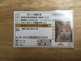 口コミ記事「あさくさ福猫太郎」の画像