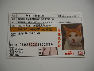 口コミ：幸福を呼ぶ伝説のねこちゃんの画像（1枚目）