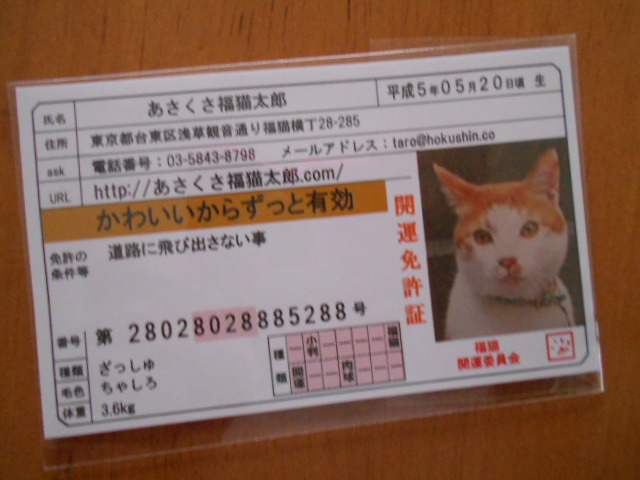 口コミ：かわいい開運雑貨「あさくさ福猫太郎」の画像（2枚目）