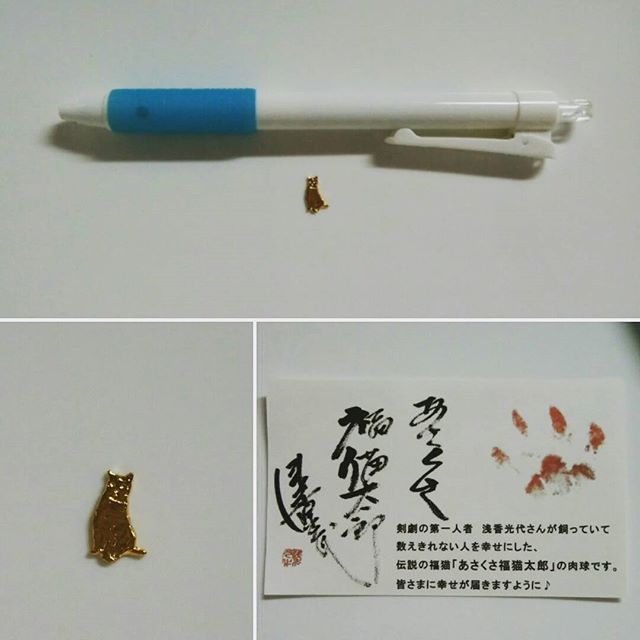 口コミ投稿：すっごく小さい猫ちゃん😺24K純金メッキのお守り✨実はこれ、浅香光代さんの飼い猫がモ…