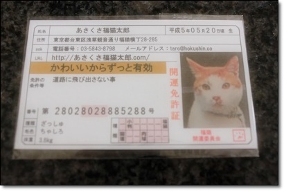 口コミ：あさくさ福猫太郎　純金メッキの豆お守り☆の画像（1枚目）