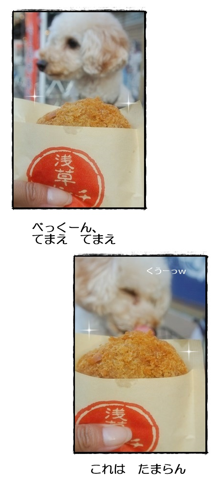 口コミ：あさくさ福猫太郎　純金メッキの豆お守り☆の画像（7枚目）