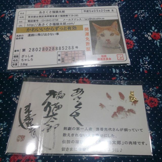 口コミ投稿：あさくさ福猫太郎　豆お守りです。とても小さなお守りがとても可愛いです♪あさくさ福…