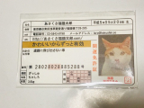 口コミ記事「あさくさ福猫太郎の豆おまもりが可愛い♡」の画像