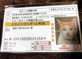 口コミ：可愛い「あさくさ福猫太郎の開運豆お守り」の画像（2枚目）