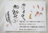 口コミ記事「あさくさ福猫太郎２４K純金メッキ開運豆お守り」の画像
