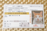 口コミ記事「可愛い❤あさくさ福猫太郎豆お守り」の画像