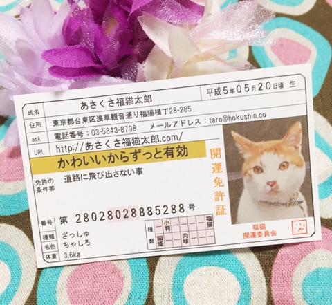 口コミ：あさくさ福猫太郎♡可愛いお守り発見！！！の画像（2枚目）