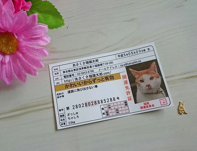 口コミ投稿：あさくさ福猫太郎さんの、非売品のお守り頂いちゃいました(*´ω｀*)かわいい猫の開運…