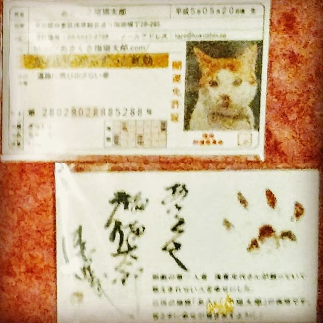 口コミ投稿：あさくさ福猫太郎の可愛いお守りです！見ているだけでも癒されますね。良いことあり…
