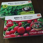 サラダを簡単に栽培できる栽培セットをいただきました。育つのが楽しみです#dcm栽培セット #くらしメイド #monipla #DCMホールディングスファンサイト参加中のInstagram画像
