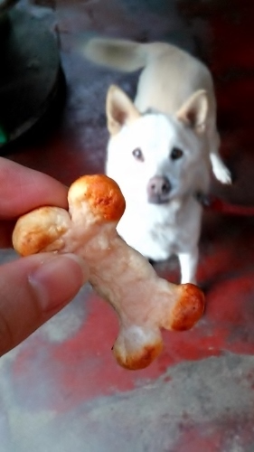 口コミ：ふかふか柔らかくてきなこご機嫌♪焼きささみライスジャーキーの画像（3枚目）