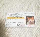 口コミ記事「あさくさ福猫太郎くんのお守り♡」の画像