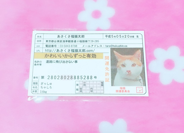 口コミ：開運免許証♡あさくさ福猫太郎♡開運豆お守りの画像（1枚目）