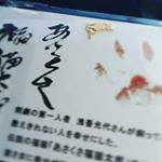 ・・#24k 純金メッキ！#あさくさ福猫太郎　#豆お守り・良いことありますように－！・・#あさくさ福猫太郎 #monipla #あさくさ福猫太郎ショップファンサイト参加中のInstagram画像