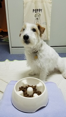 口コミ：DHCの「犬用 国産生肉使用の贅沢ごはん」の画像（5枚目）