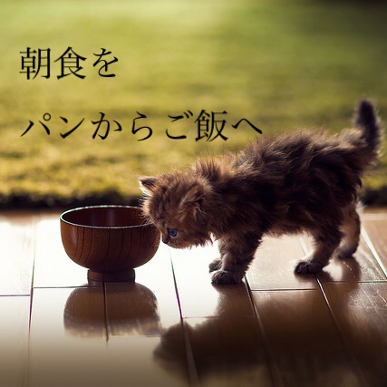 口コミ：【食事の見直し】和食のスタートをお味噌汁からの画像（1枚目）