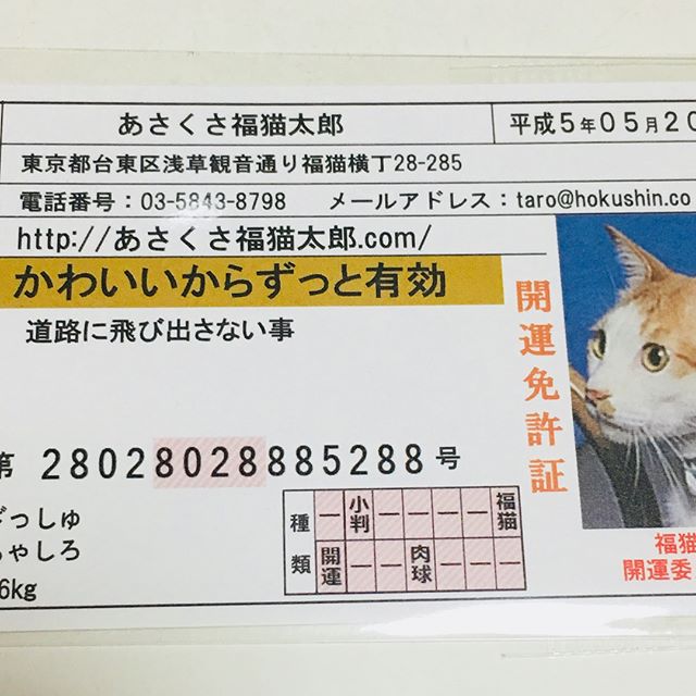 口コミ投稿：#あさくさ福猫太郎 #浅草名物 #monipla #あさくさ福猫太郎ショップファンサイト参加中